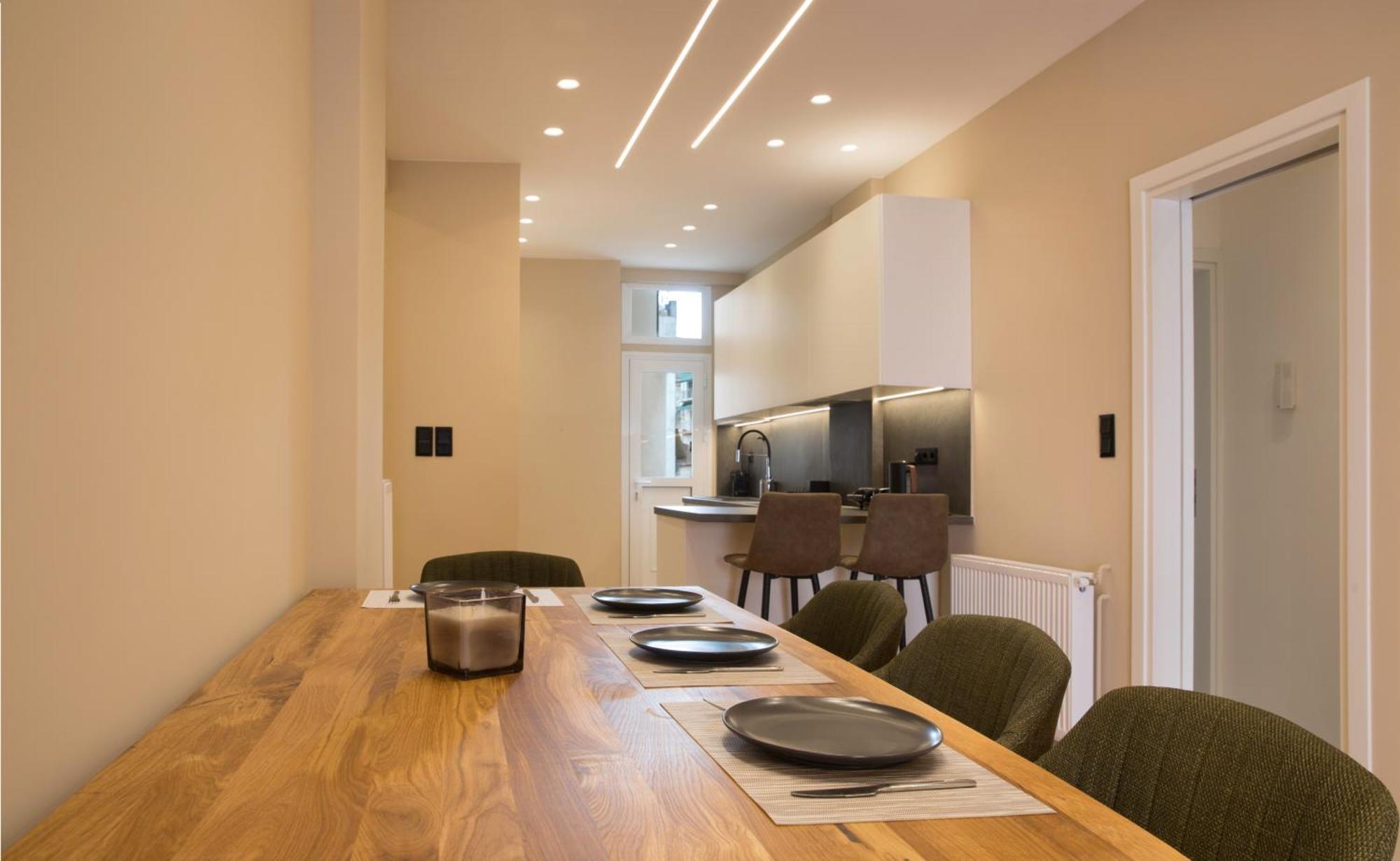 Urban Spacious Apartment Near Kallimarmaron Αθήνα Εξωτερικό φωτογραφία
