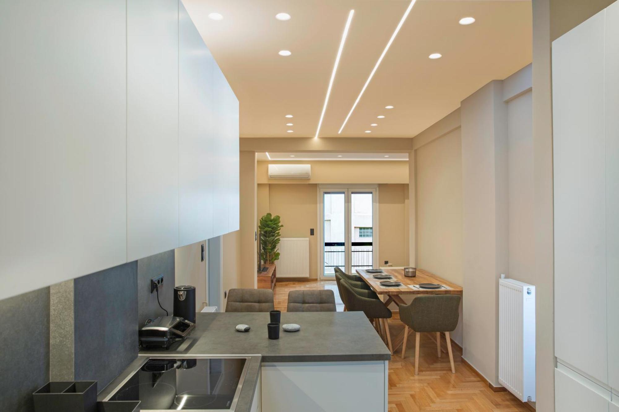 Urban Spacious Apartment Near Kallimarmaron Αθήνα Εξωτερικό φωτογραφία